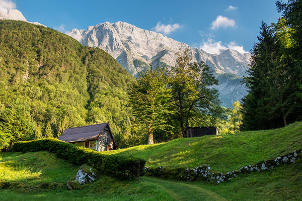 cottage view