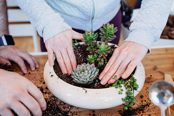 green thumb garden