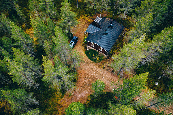 buying a cottage forest