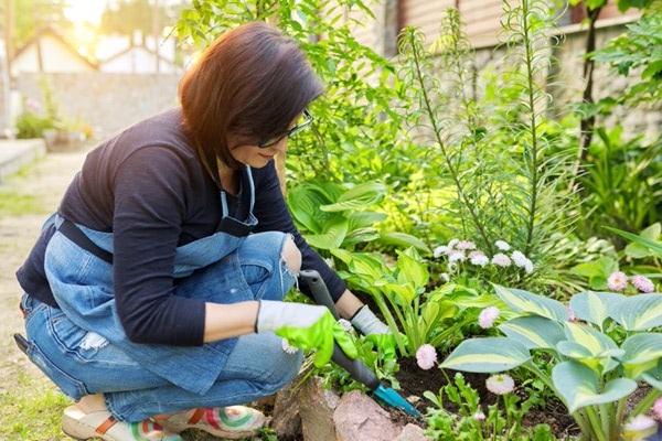 yard spring-ready