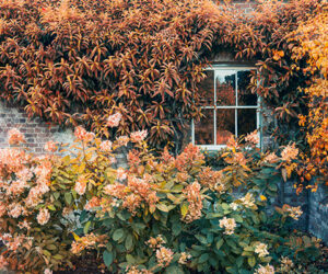 House Ready For Fall