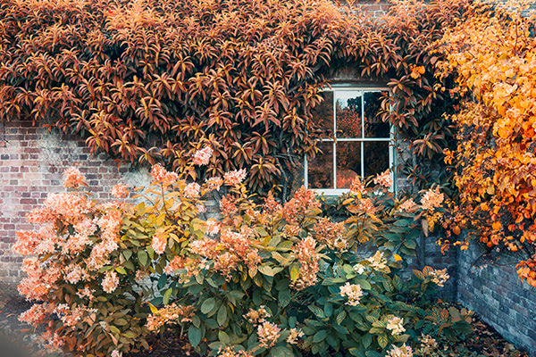 house ready for fall